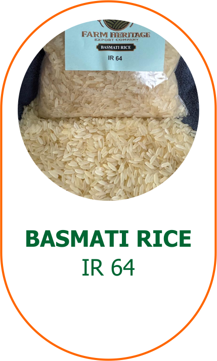 rice-gal-11